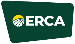 Erca